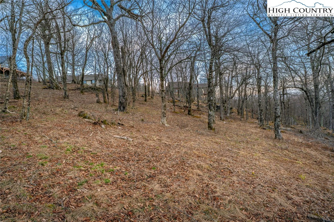 Image number 11 for the current listing