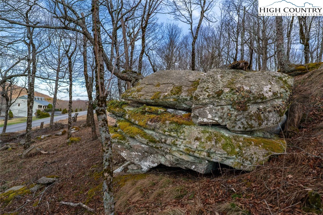 Image number 10 for the current listing