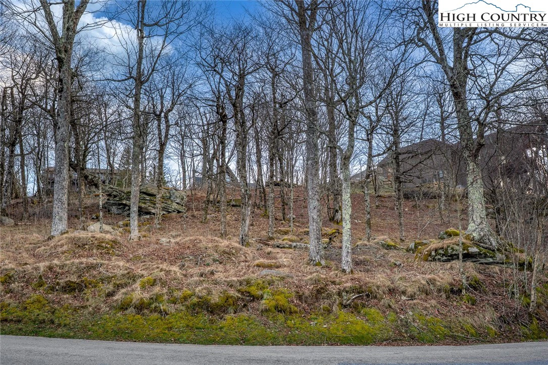 Image number 21 for the current listing