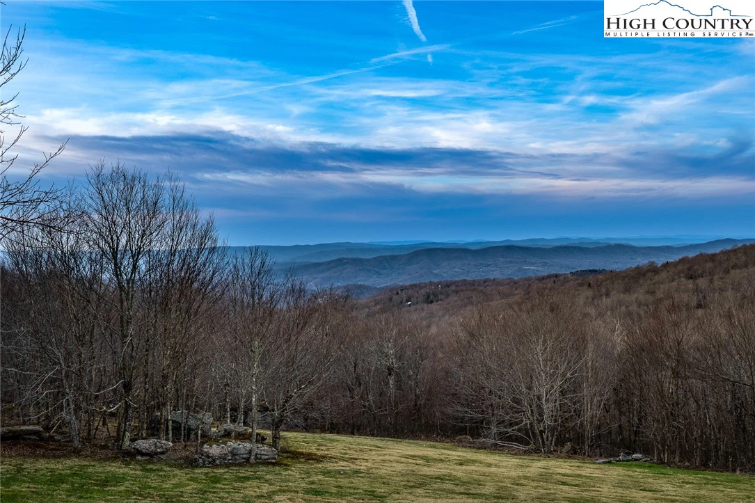 Image number 3 for the current listing