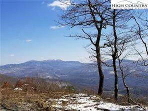 Image number 1 for the current listing