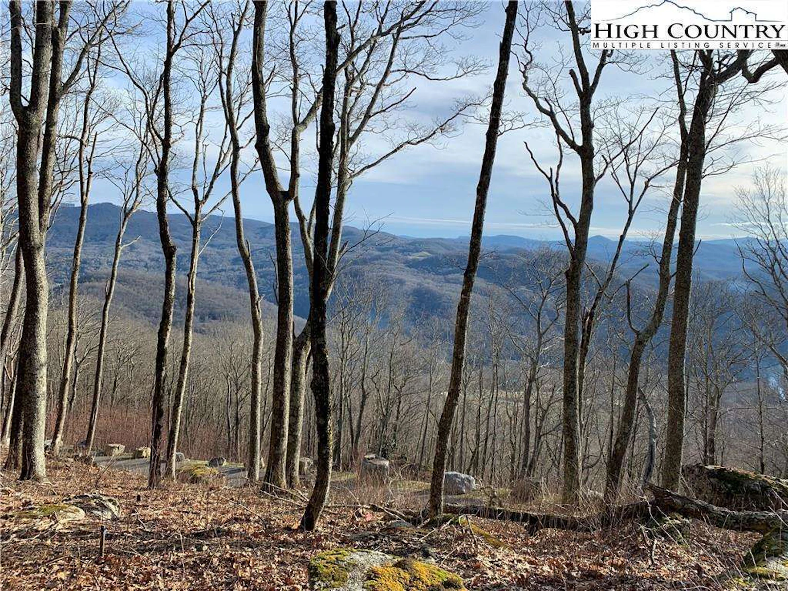 Image number 1 for the current listing