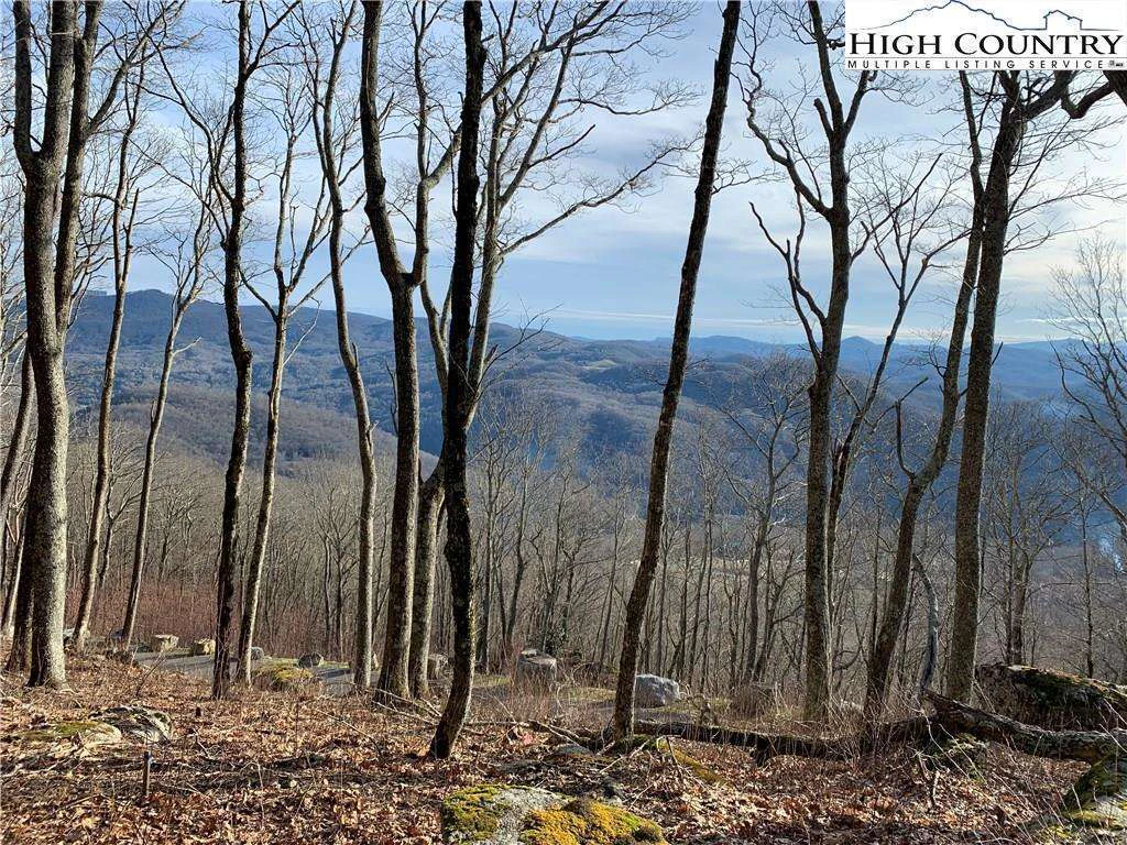 Image number 1 for the current listing