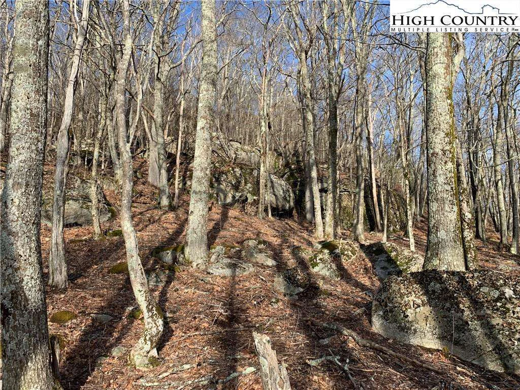 Image number 11 for the current listing