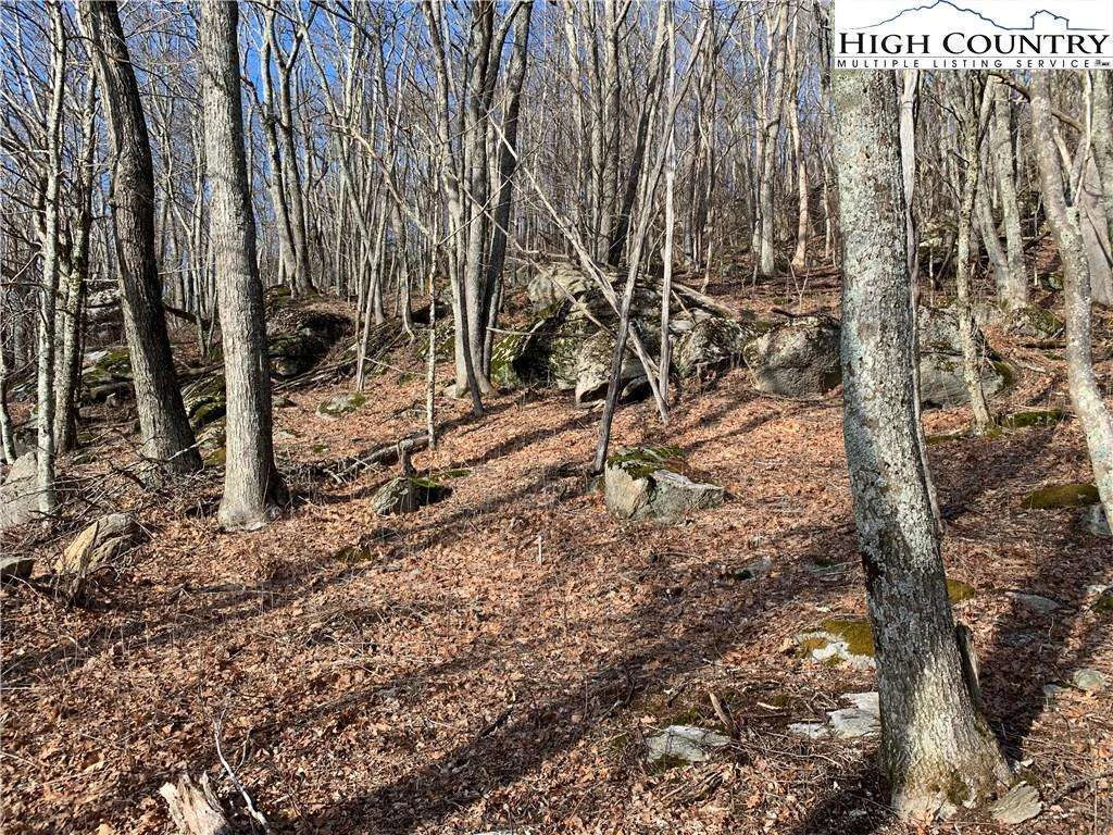 Image number 9 for the current listing
