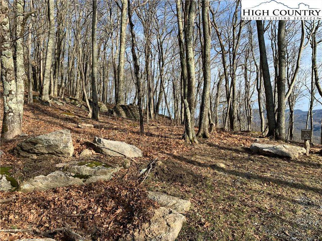 Image number 5 for the current listing