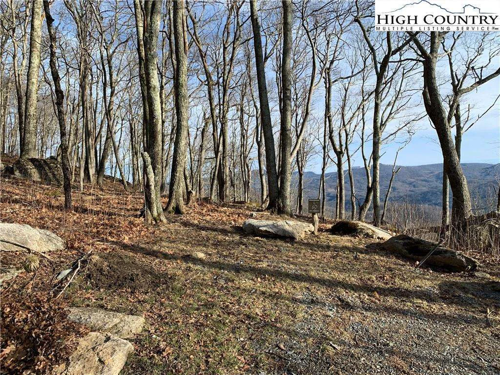 Image number 4 for the current listing