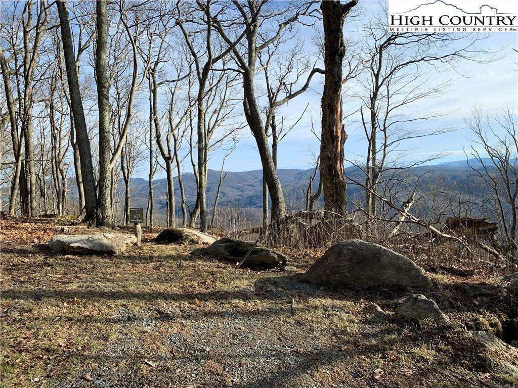 Image number 3 for the current listing