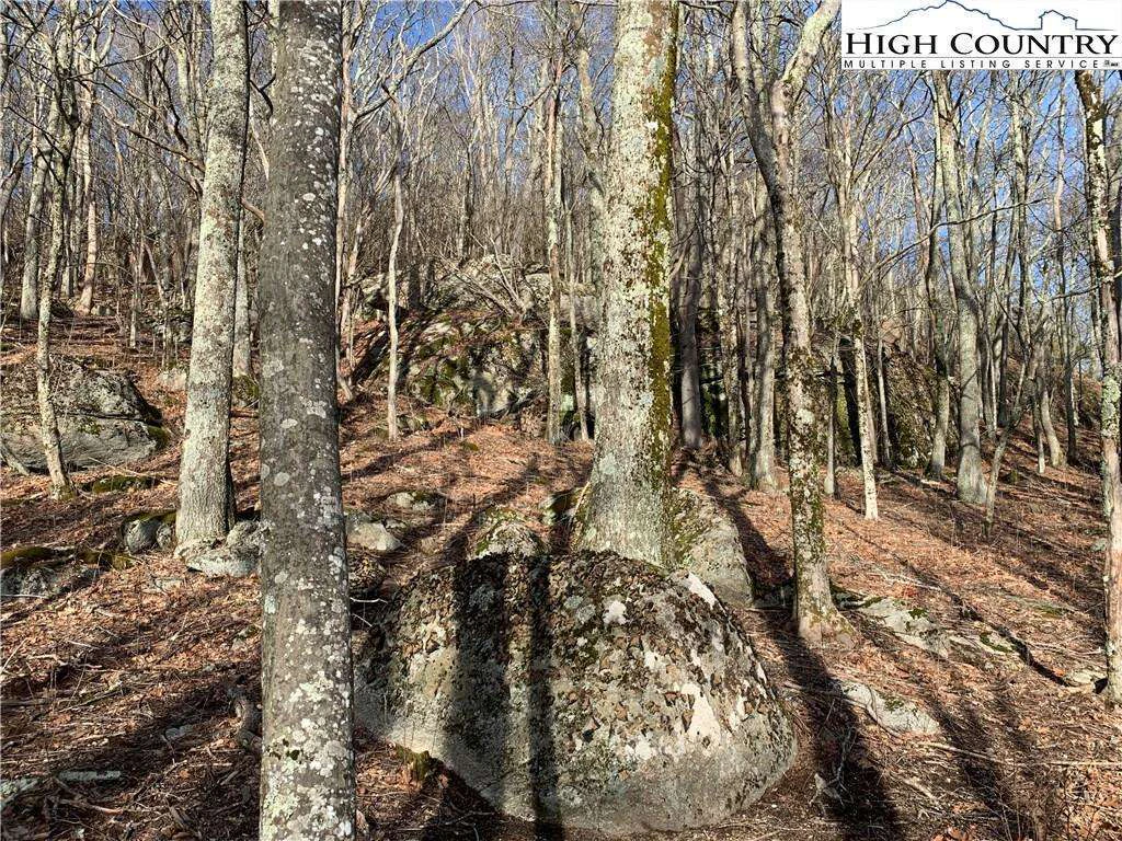 Image number 12 for the current listing