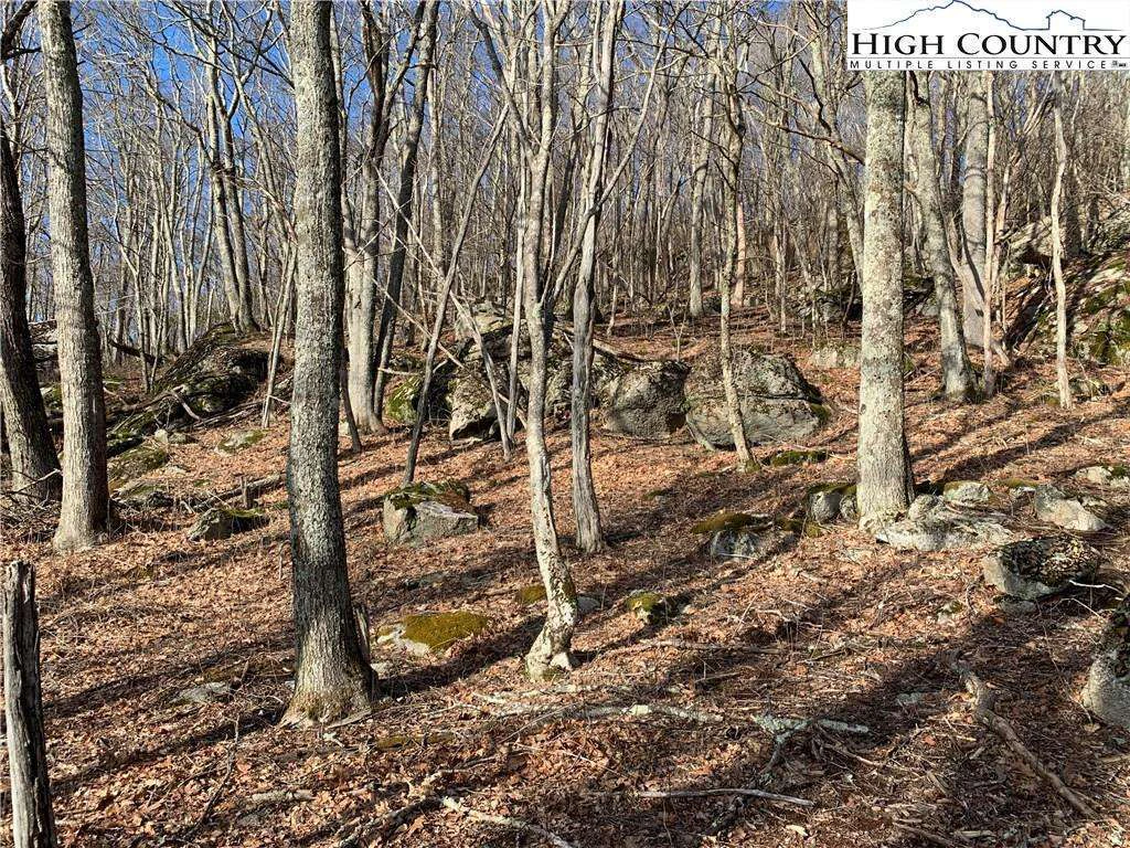 Image number 2 for the current listing