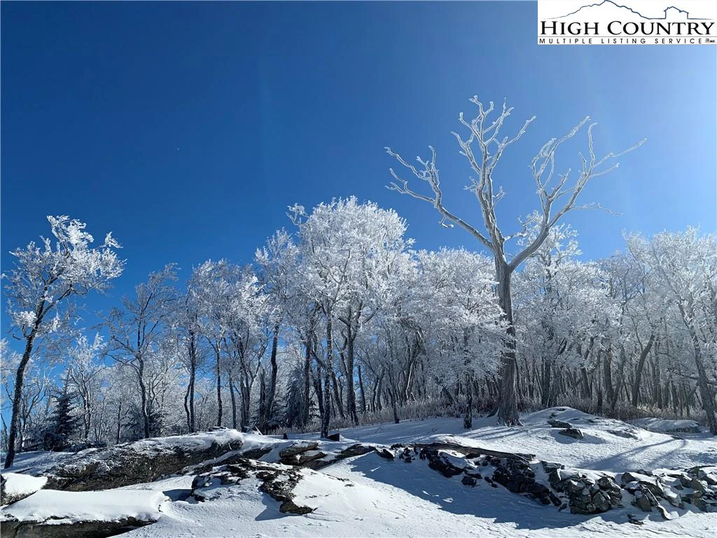 Image number 19 for the current listing
