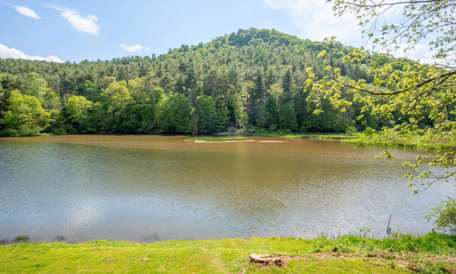 Image number 1 for the current listing