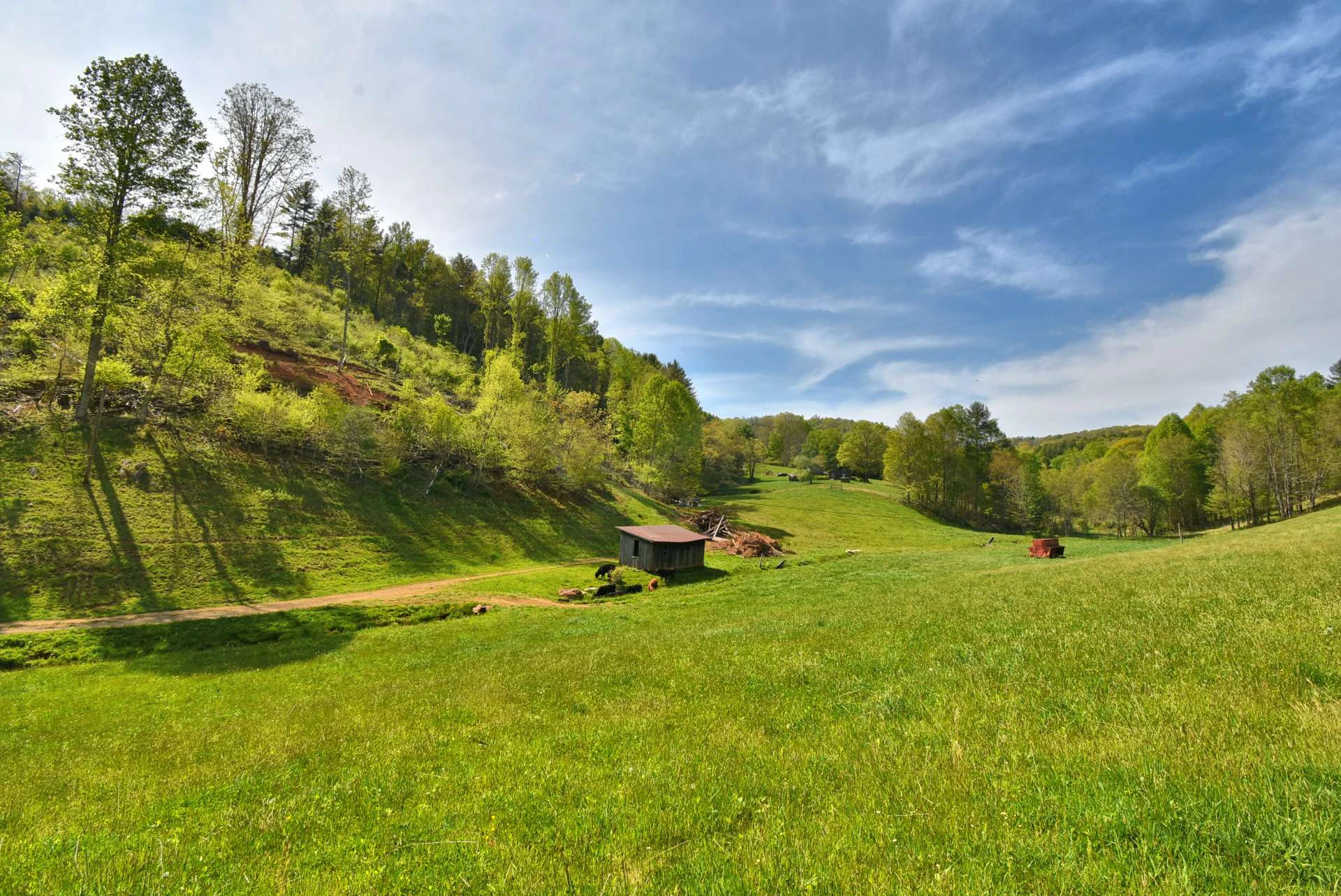 Image number 3 for the current listing