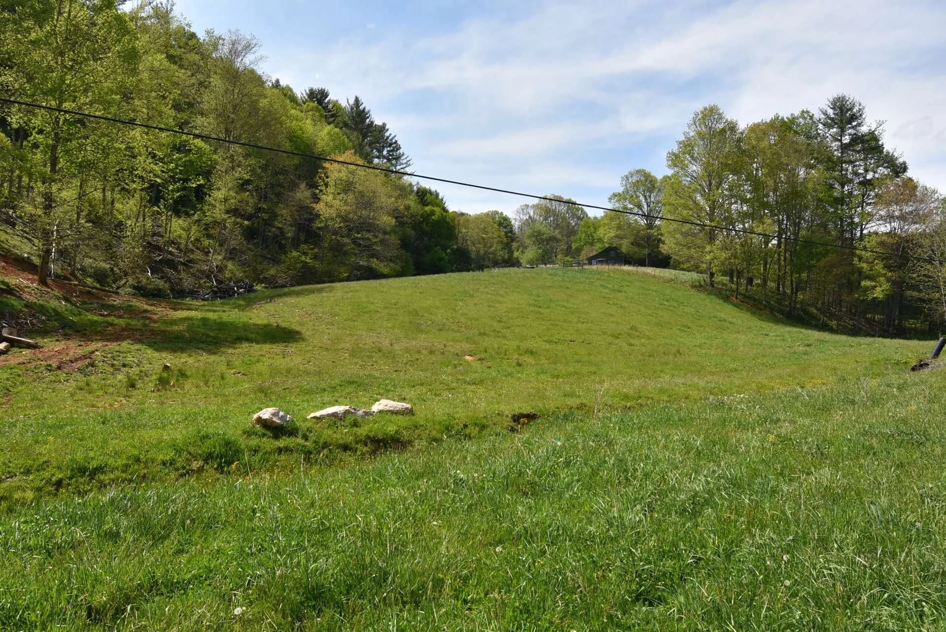 Image number 5 for the current listing