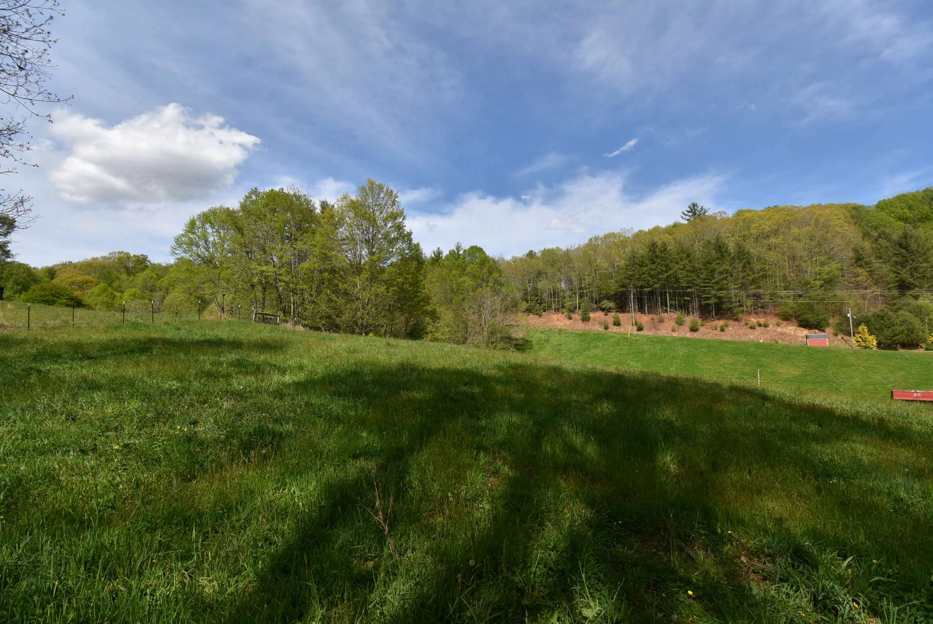 Image number 11 for the current listing
