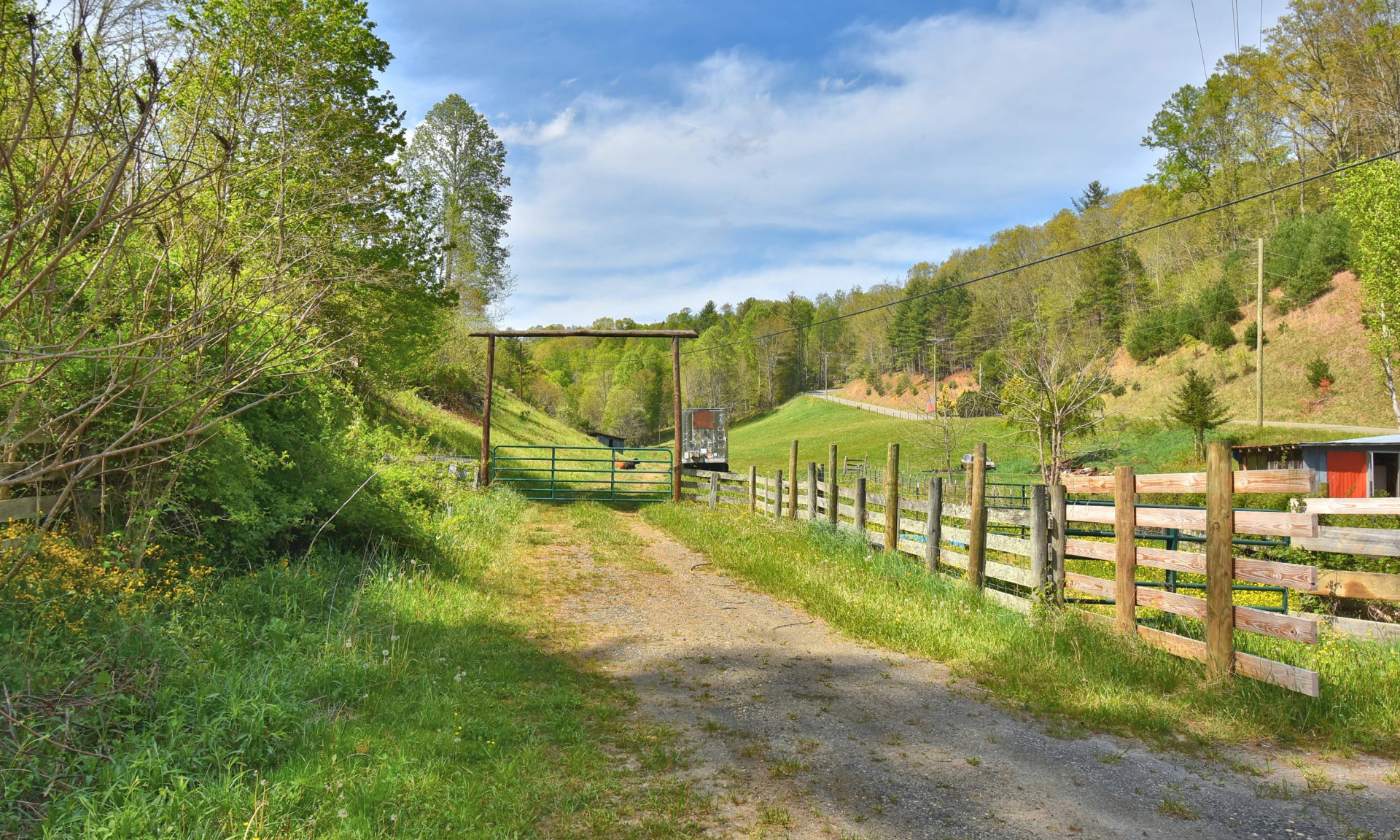 Image number 1 for the current listing