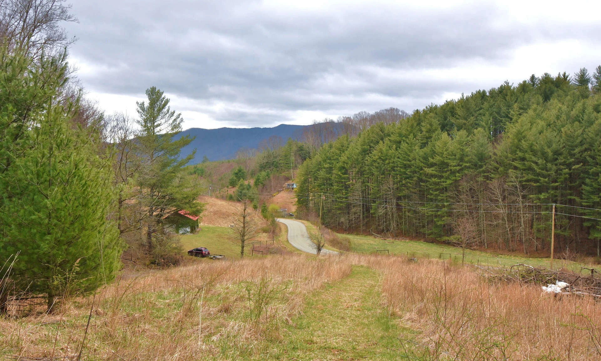 Image number 1 for the current listing