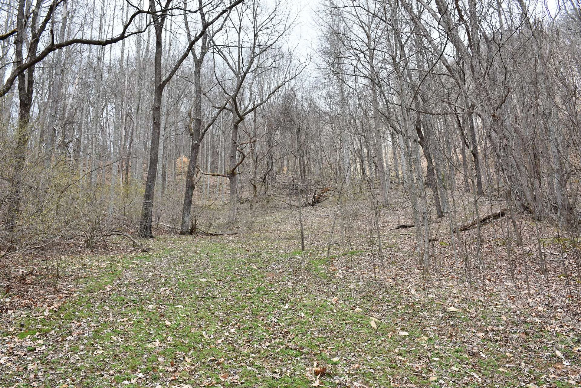 Image number 14 for the current listing
