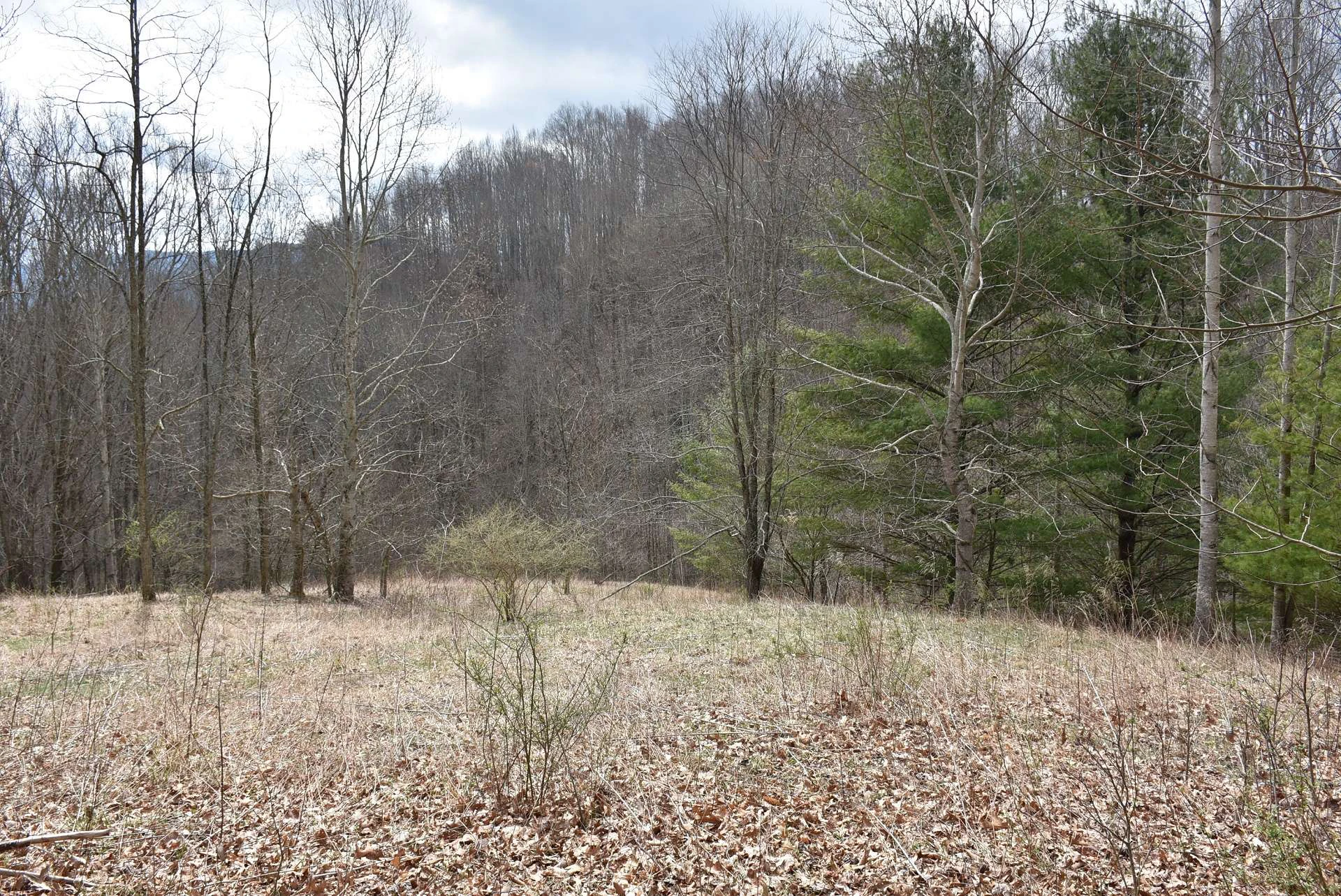 Image number 13 for the current listing