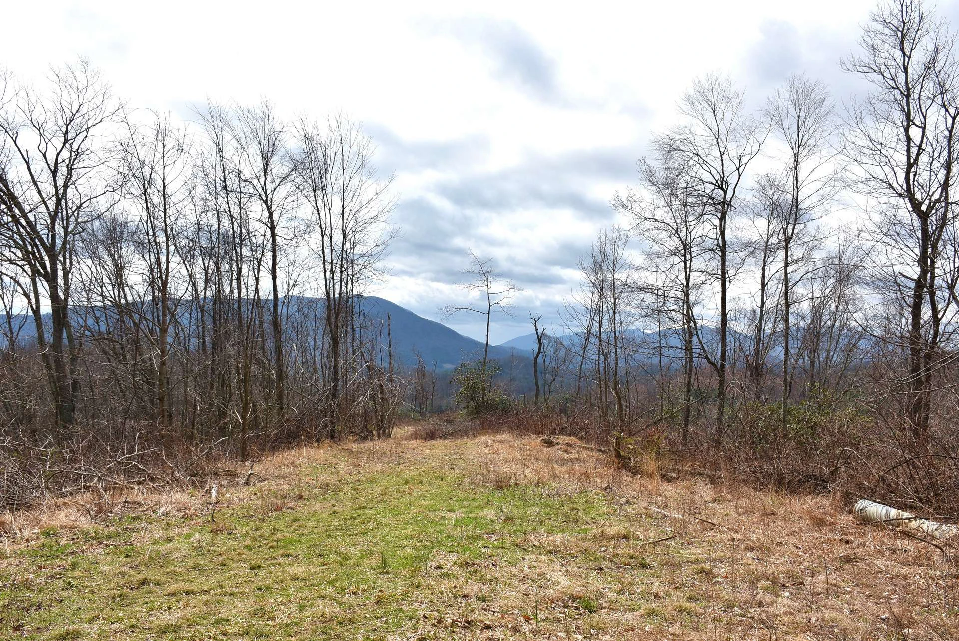 Image number 12 for the current listing