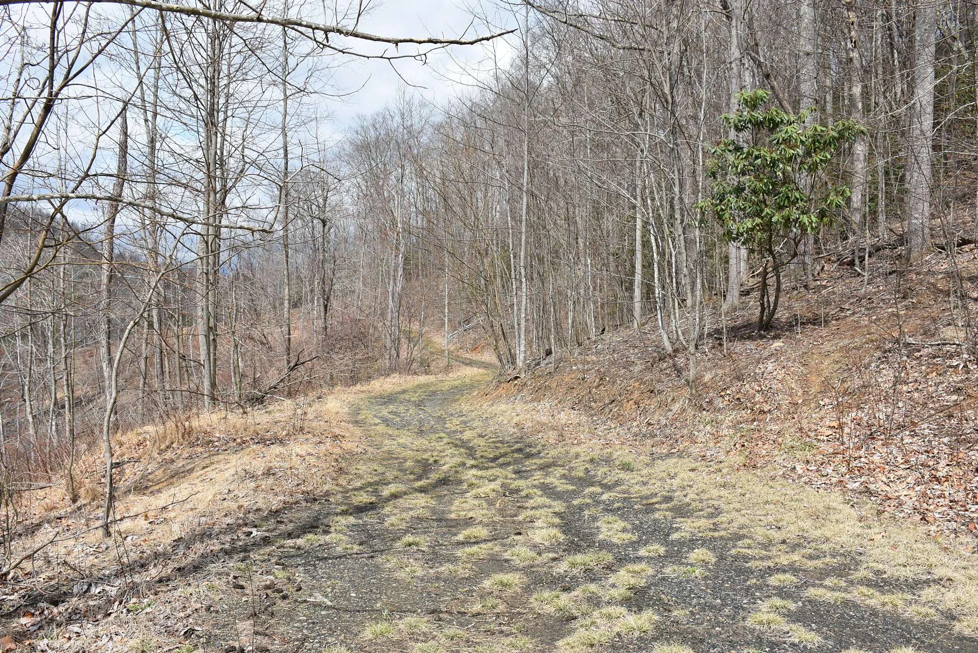 Image number 5 for the current listing