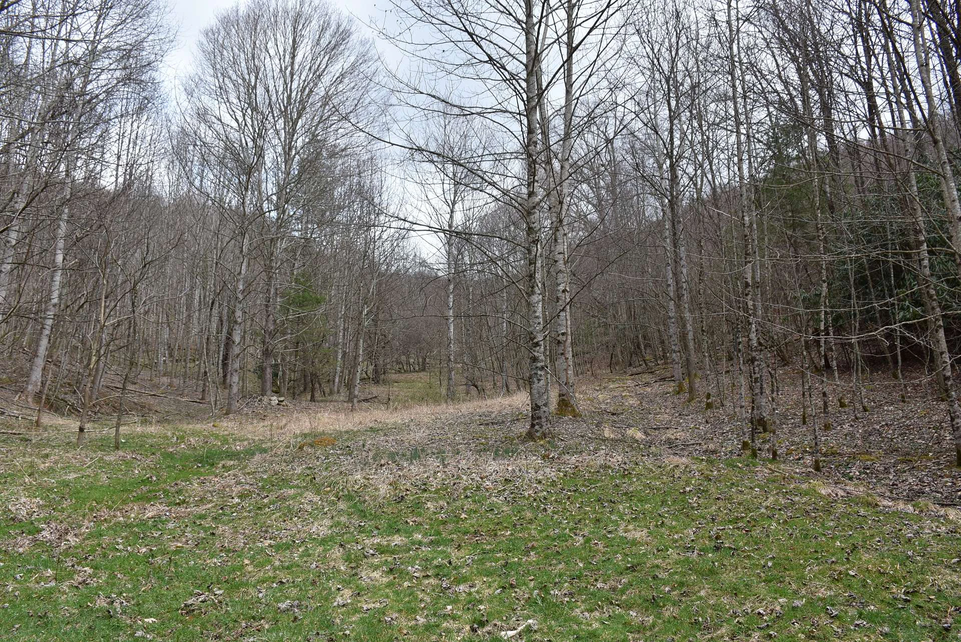 Image number 18 for the current listing