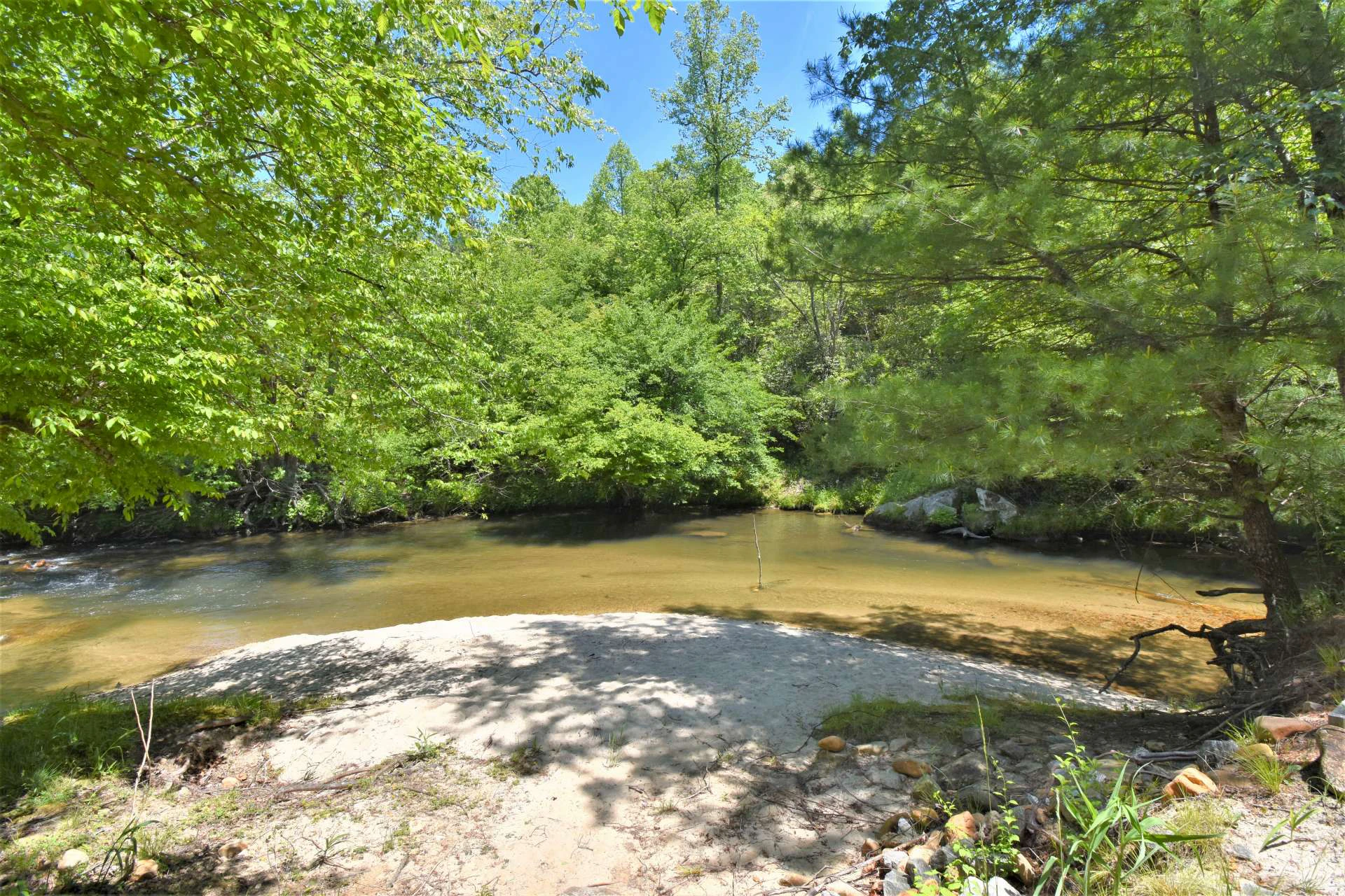 Image number 12 for the current listing