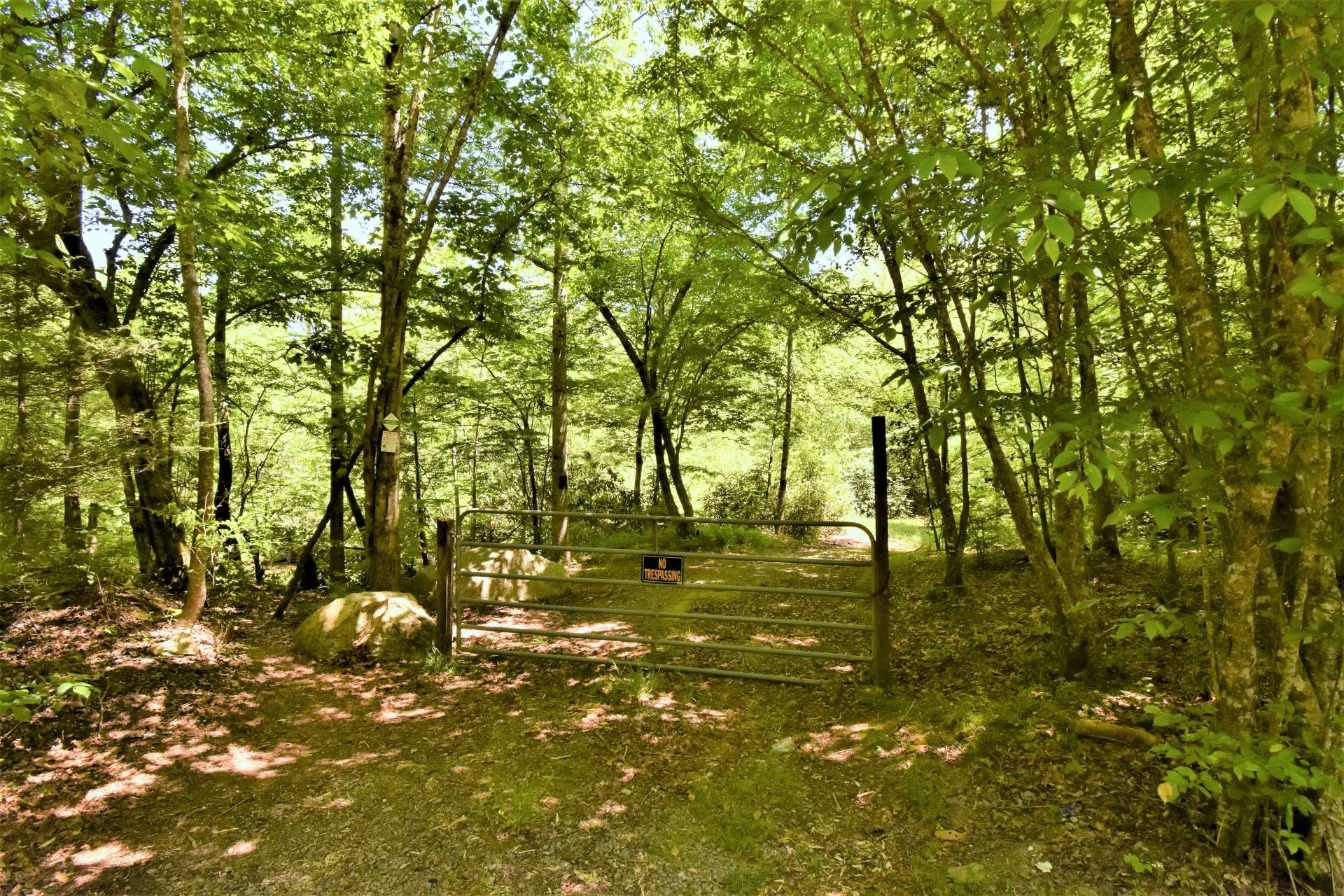 Image number 19 for the current listing