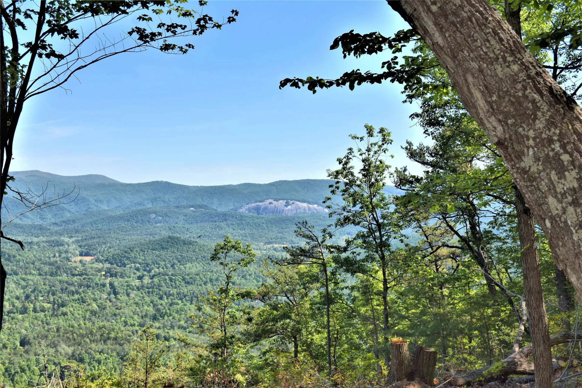 Image number 11 for the current listing