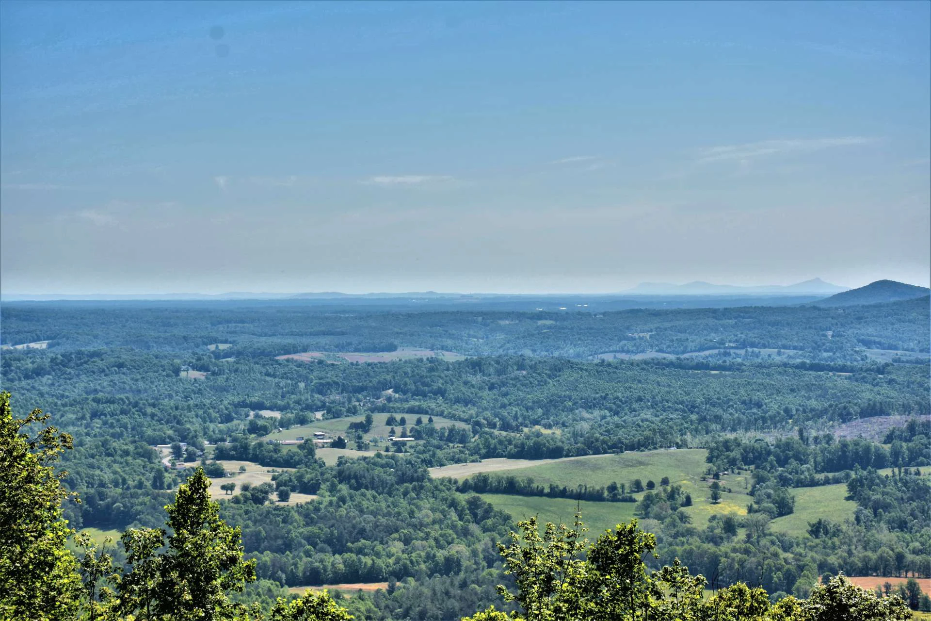 Image number 10 for the current listing