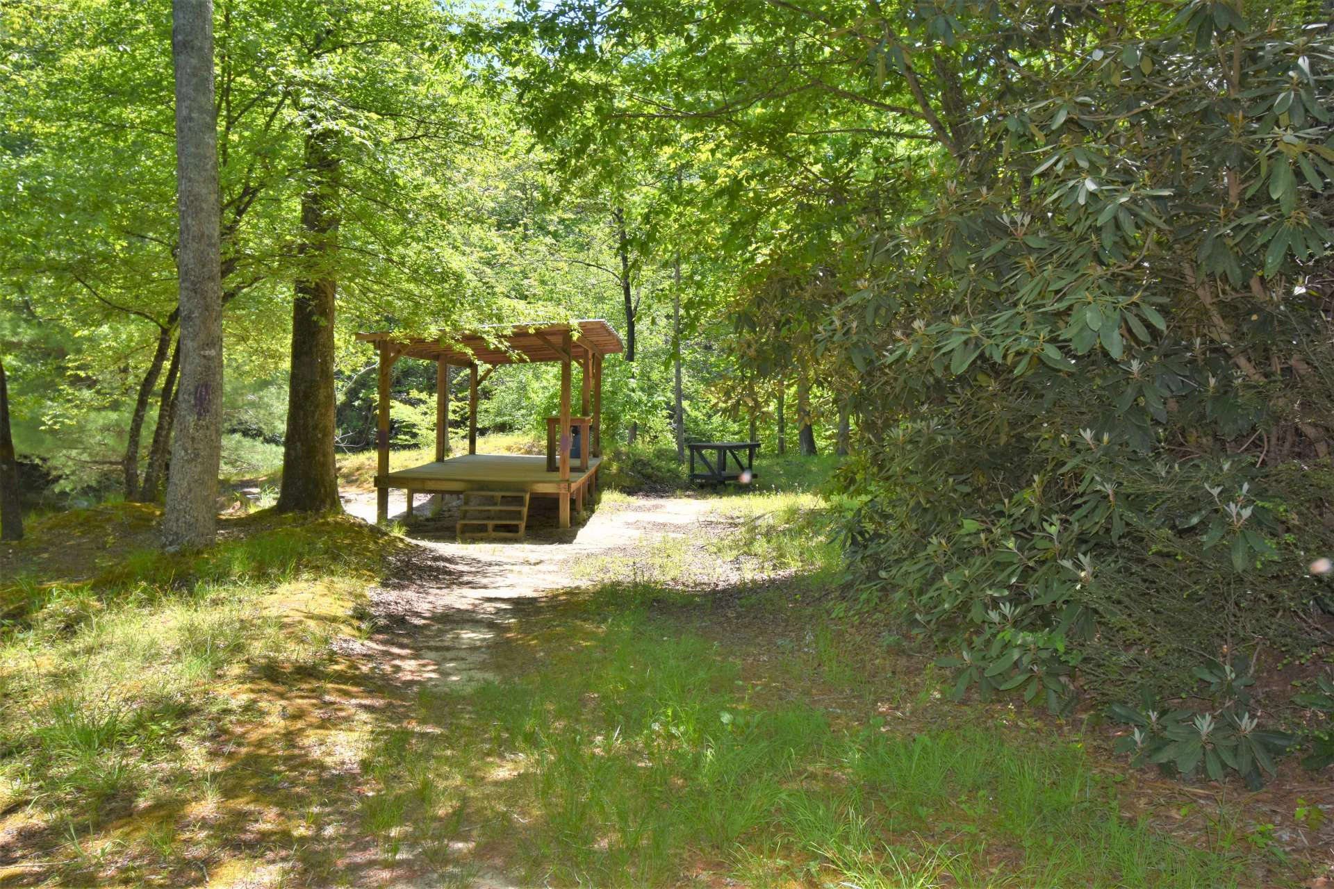 Image number 8 for the current listing