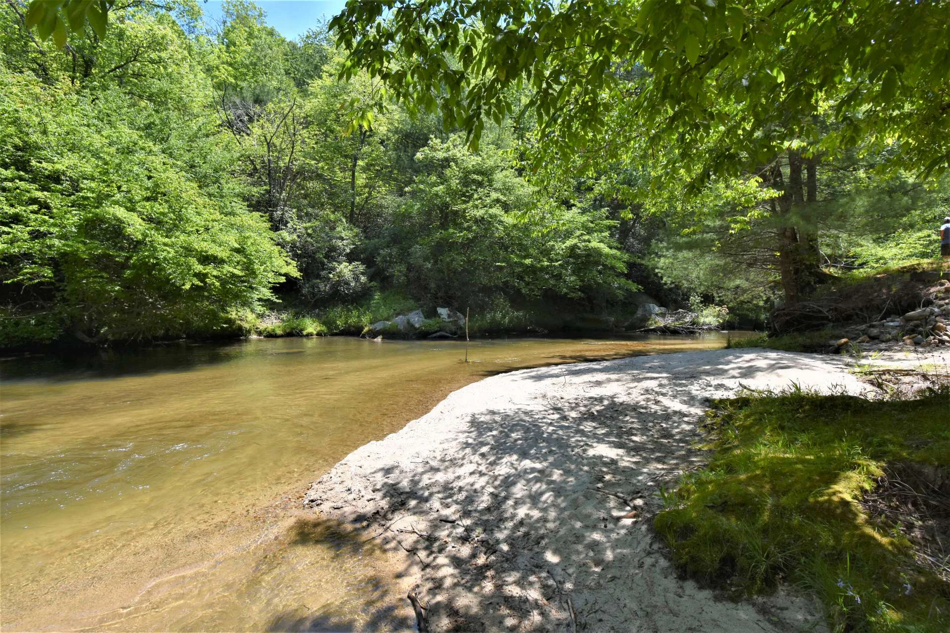 Image number 5 for the current listing