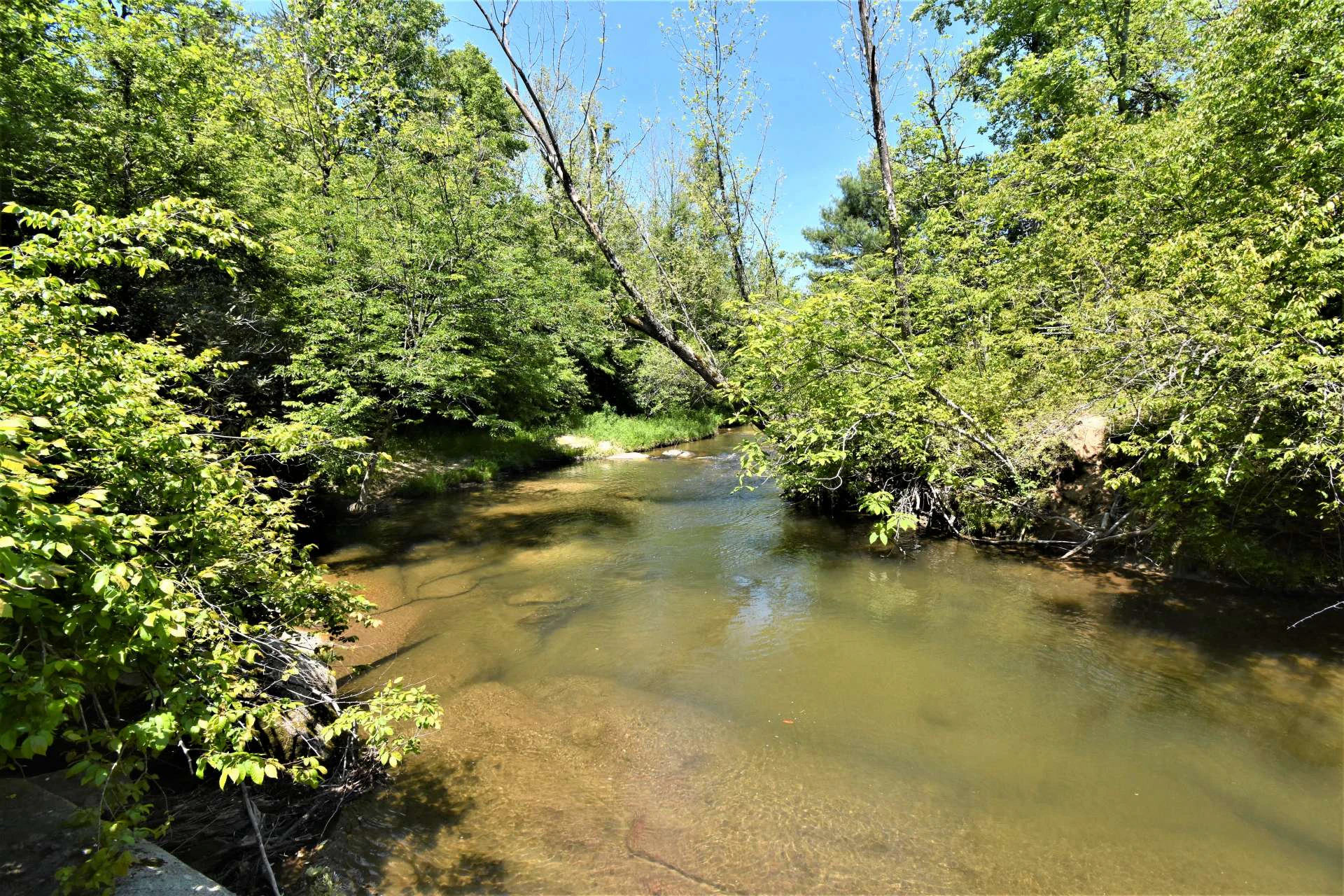 Image number 4 for the current listing