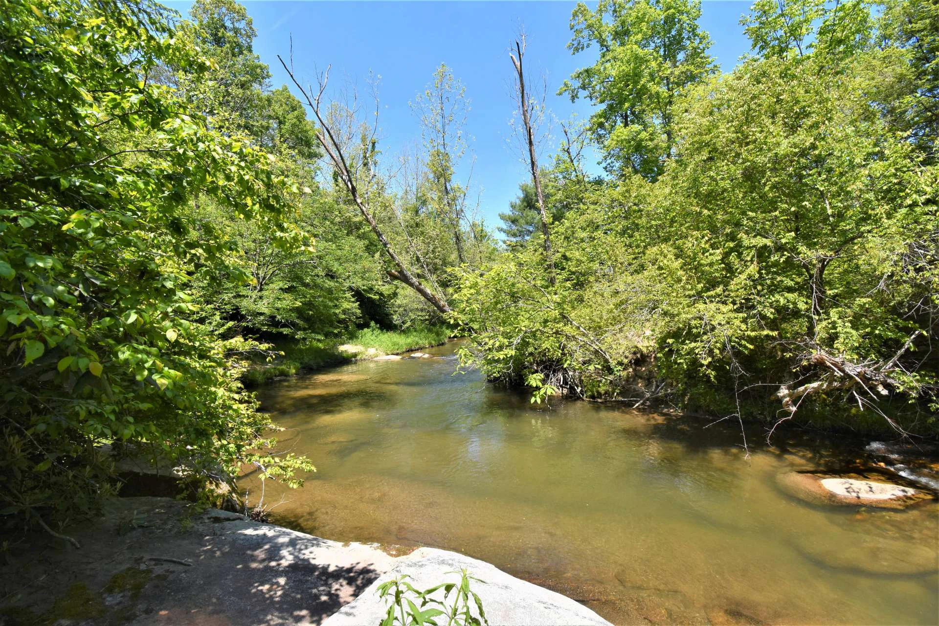 Image number 3 for the current listing