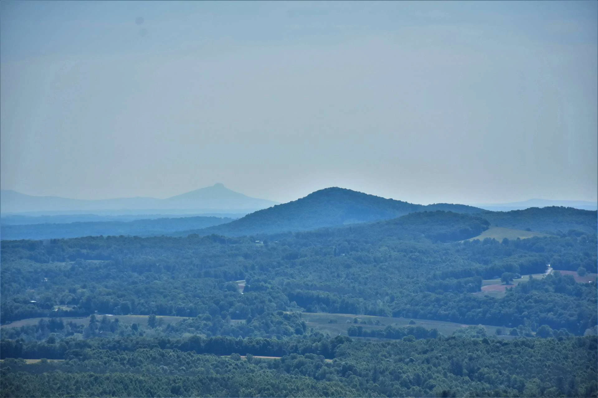 Image number 16 for the current listing