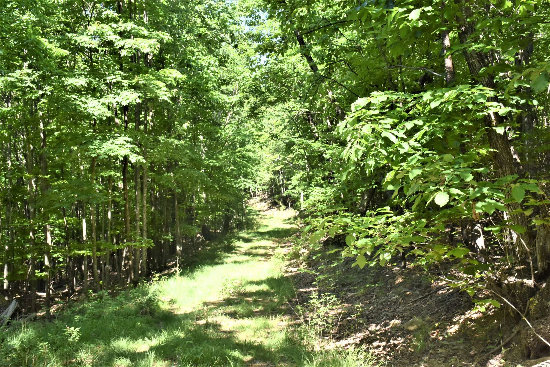 Image number 15 for the current listing