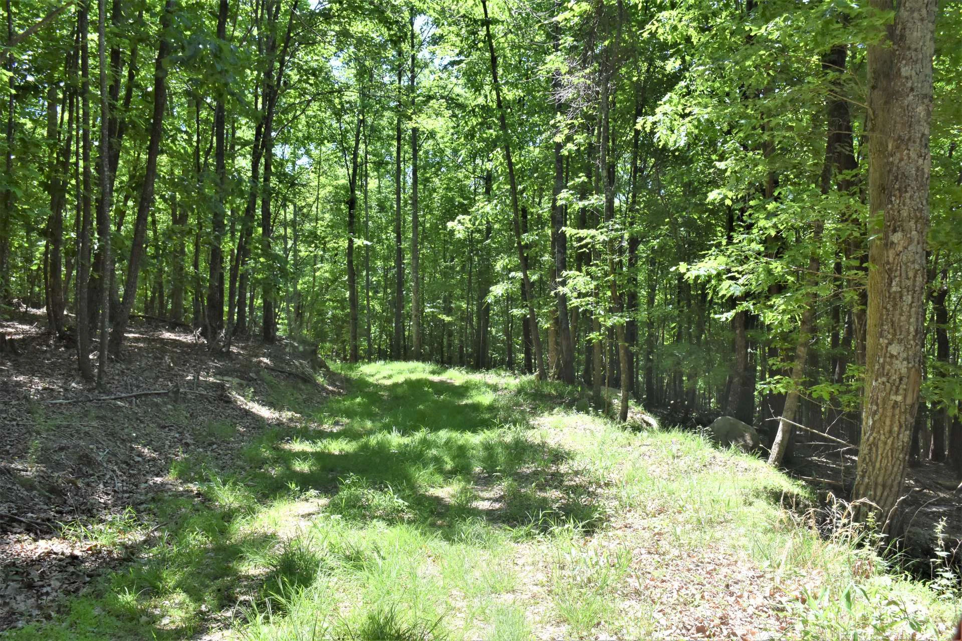 Image number 13 for the current listing