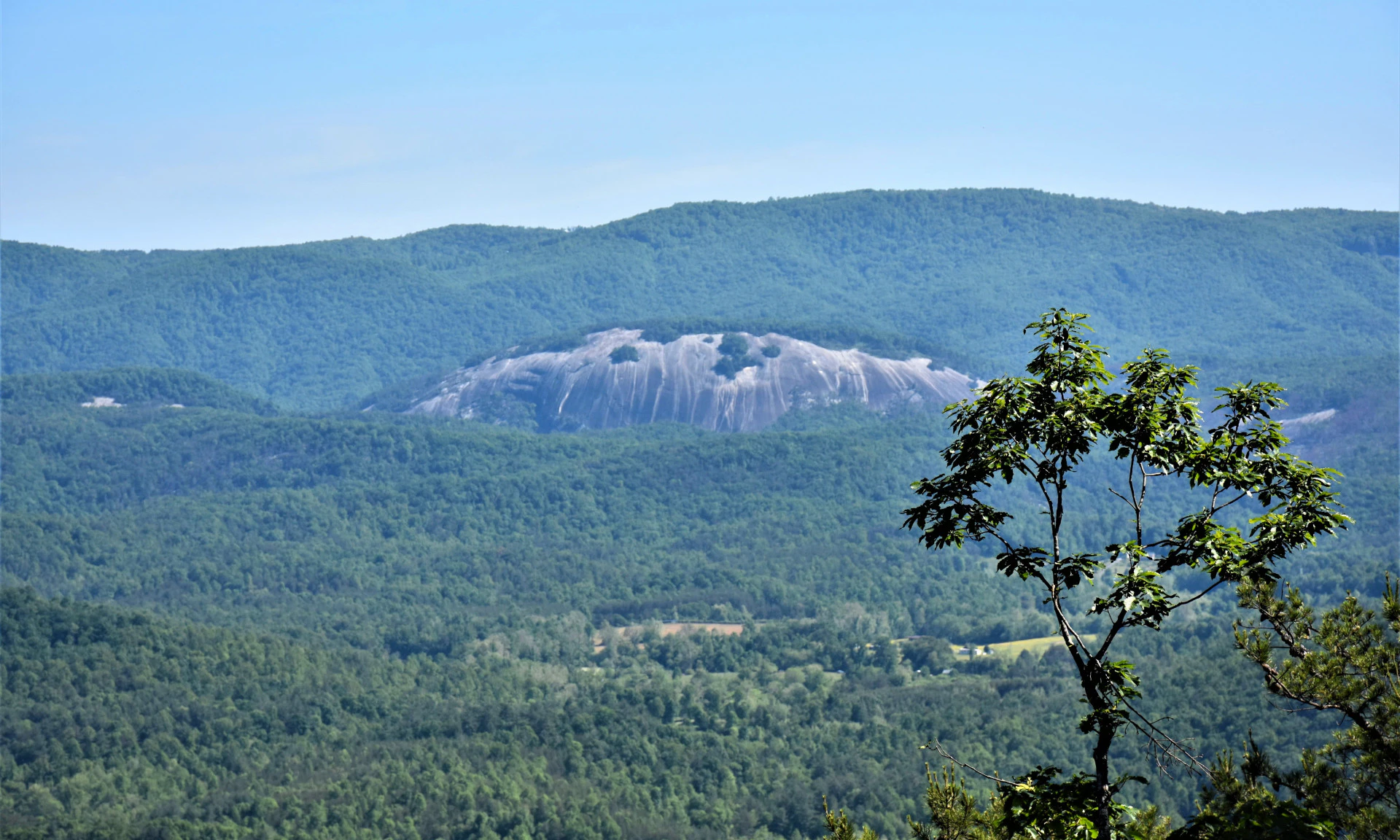 Image number 1 for the current listing