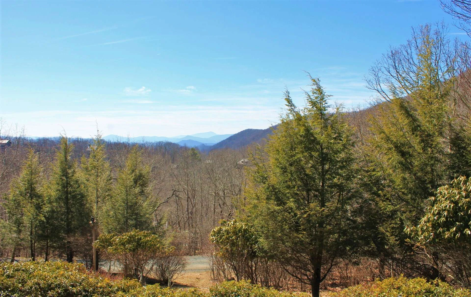 Image number 12 for the current listing