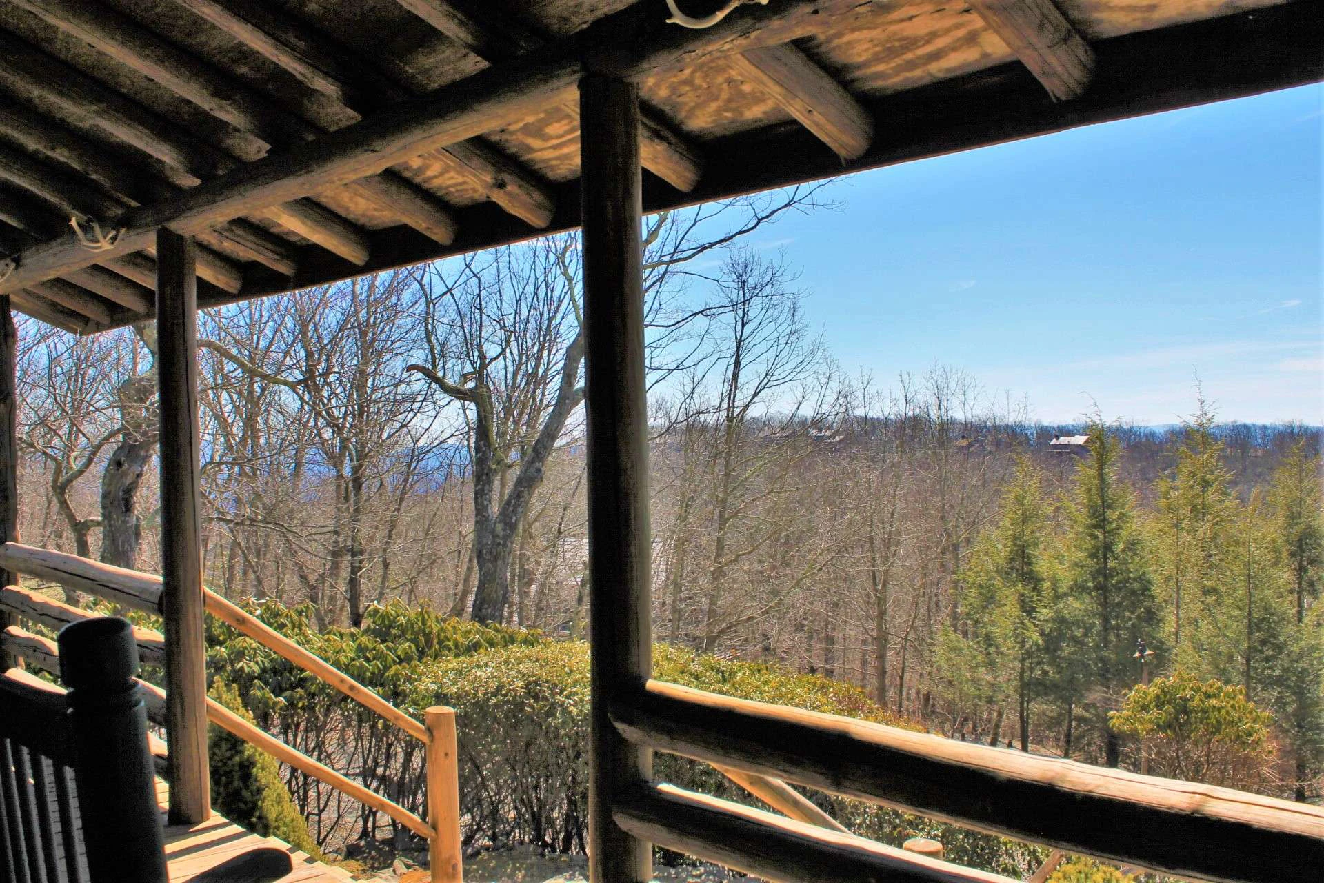 Image number 5 for the current listing