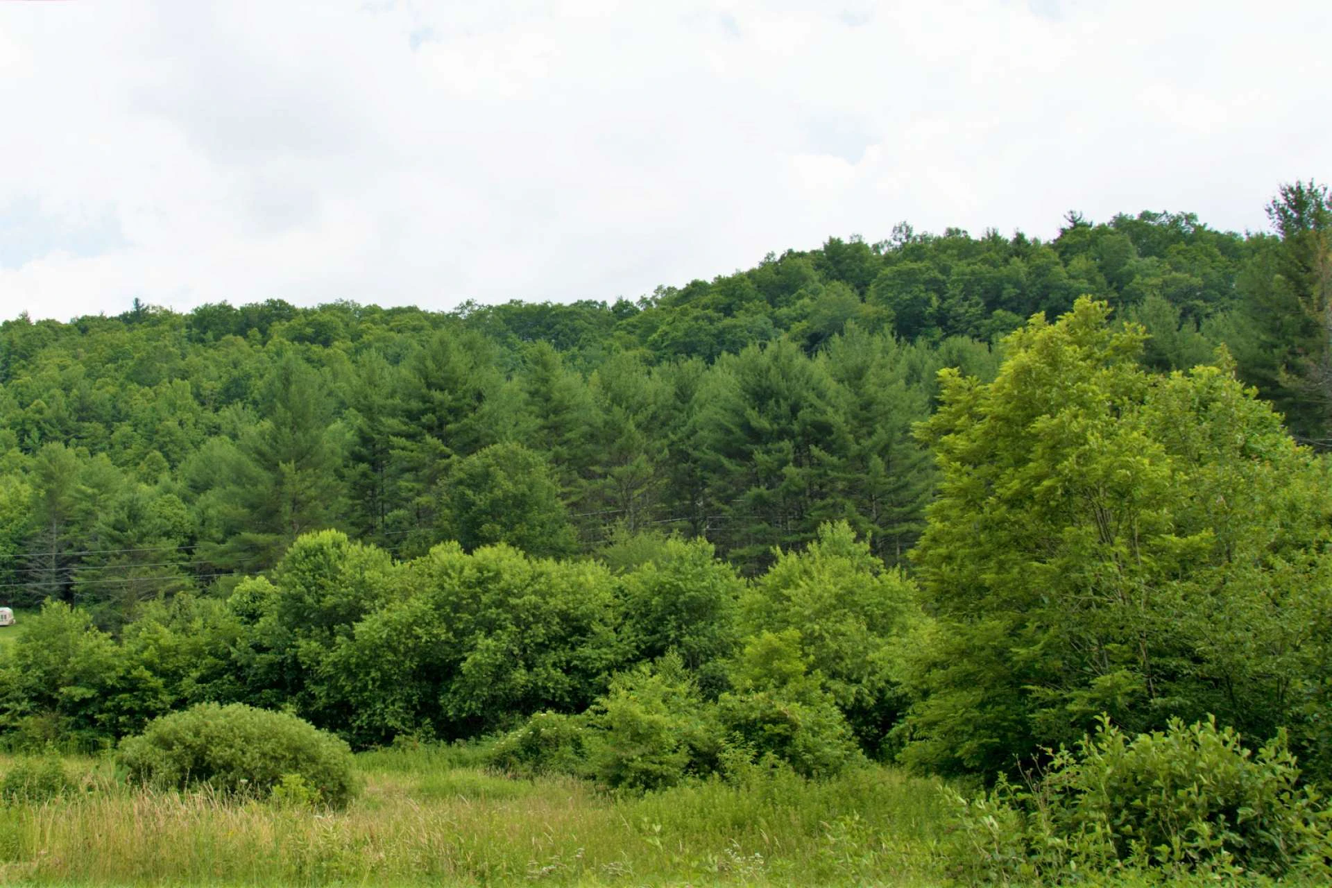 Image number 4 for the current listing