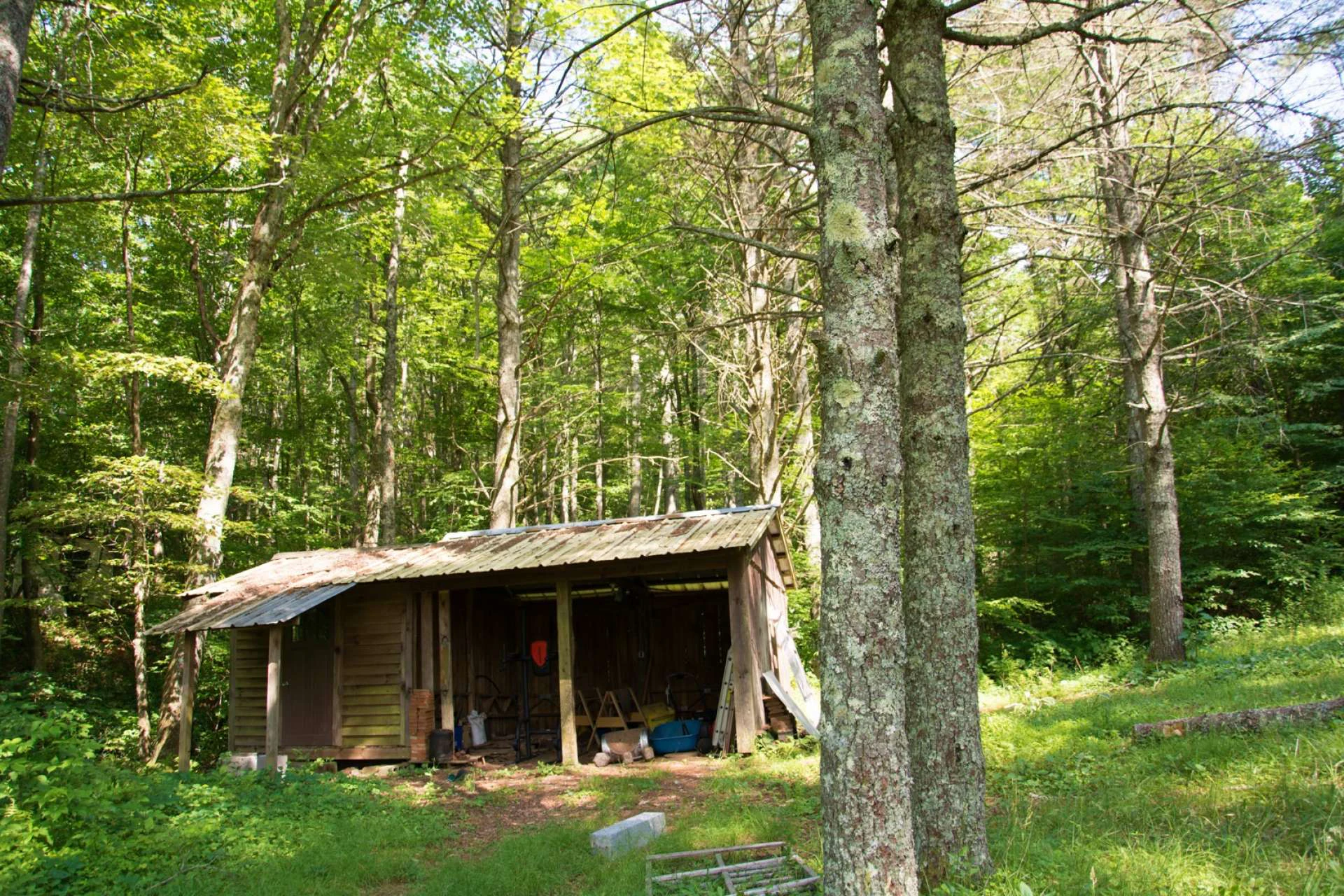 Image number 6 for the current listing