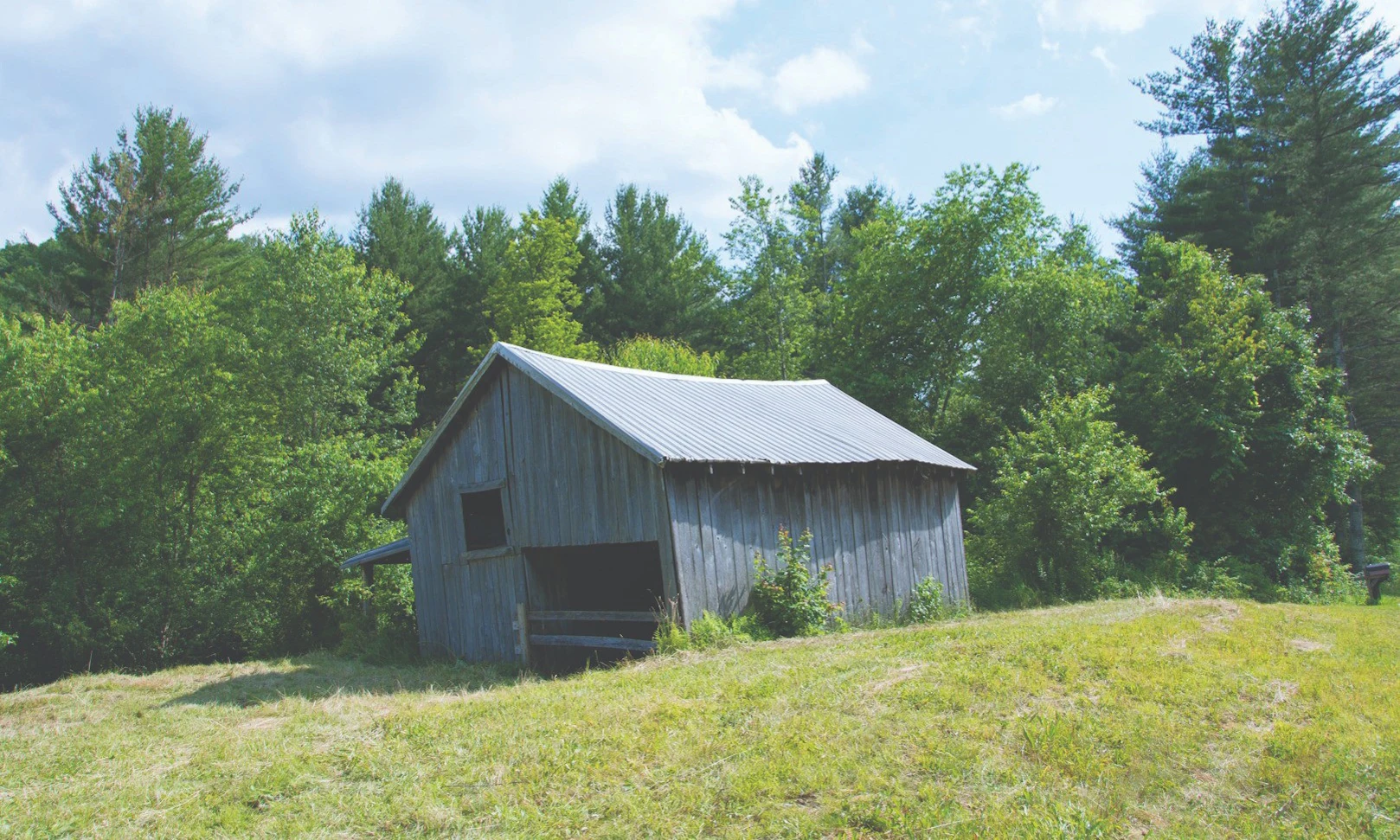 Image number 1 for the current listing