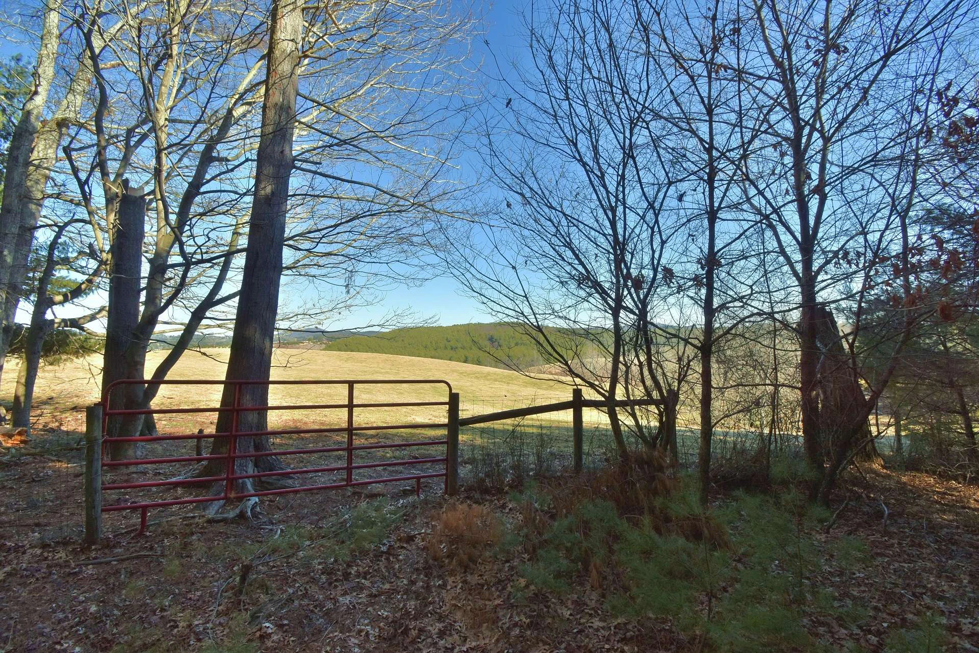 Image number 9 for the current listing