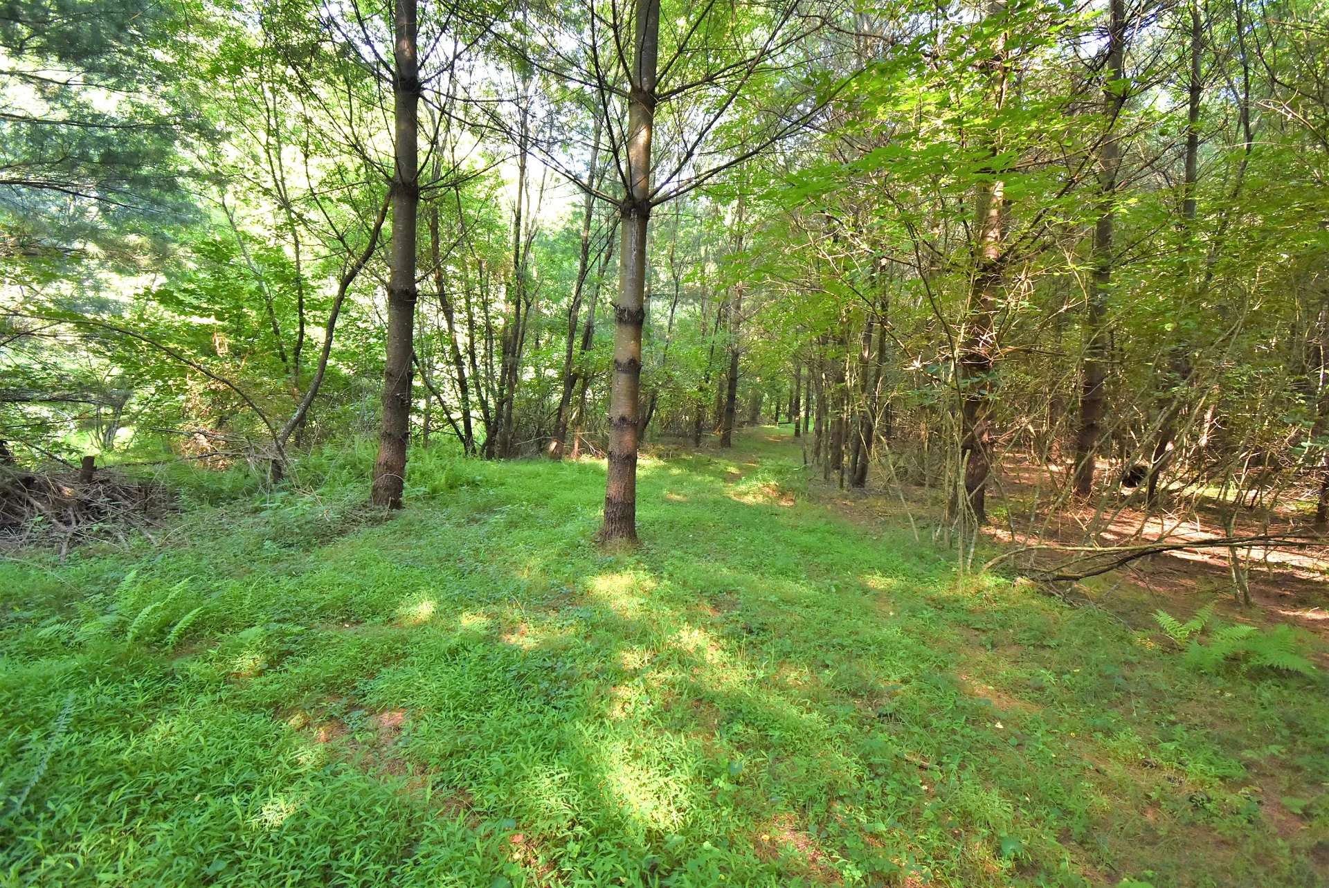 Image number 3 for the current listing