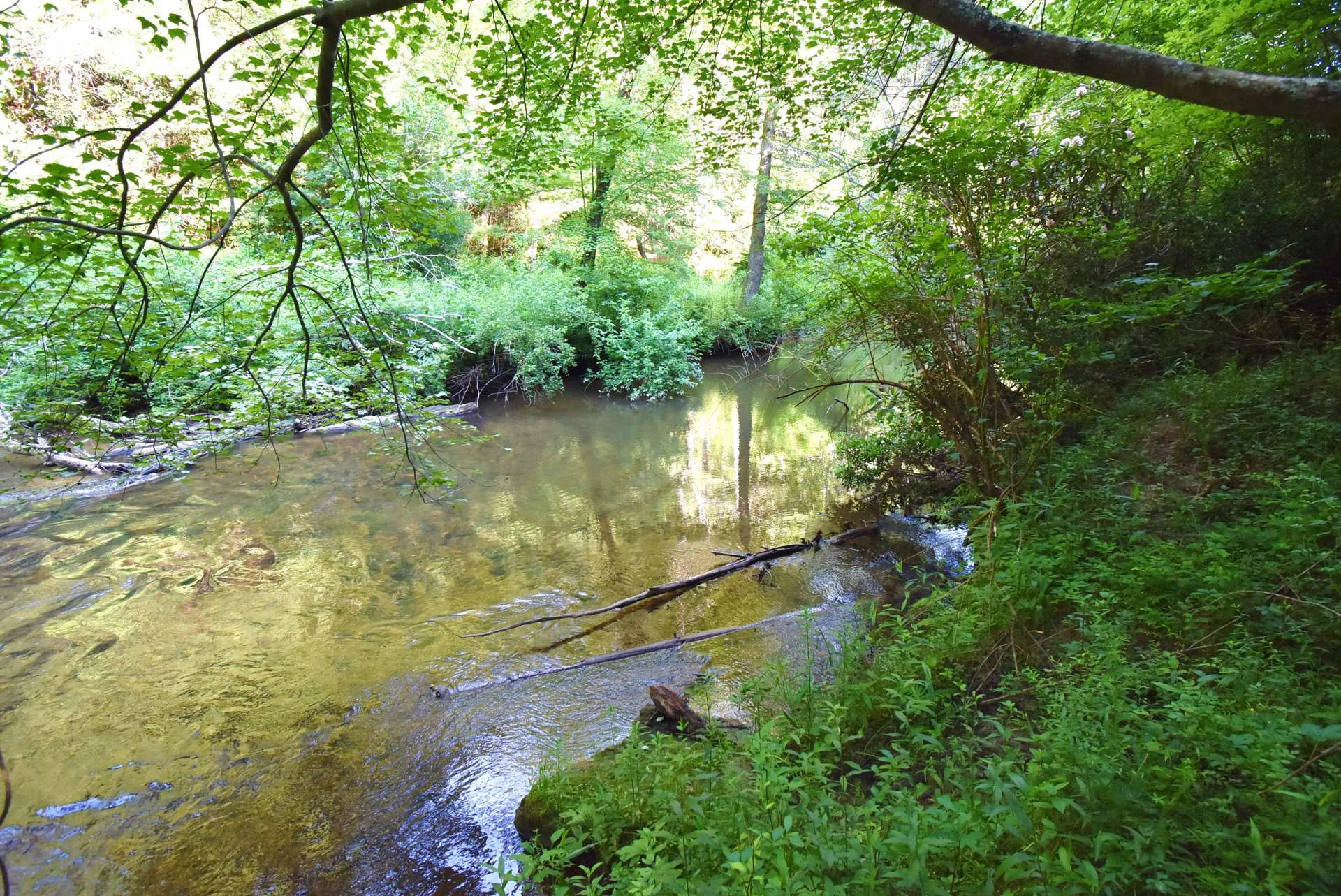 Image number 7 for the current listing