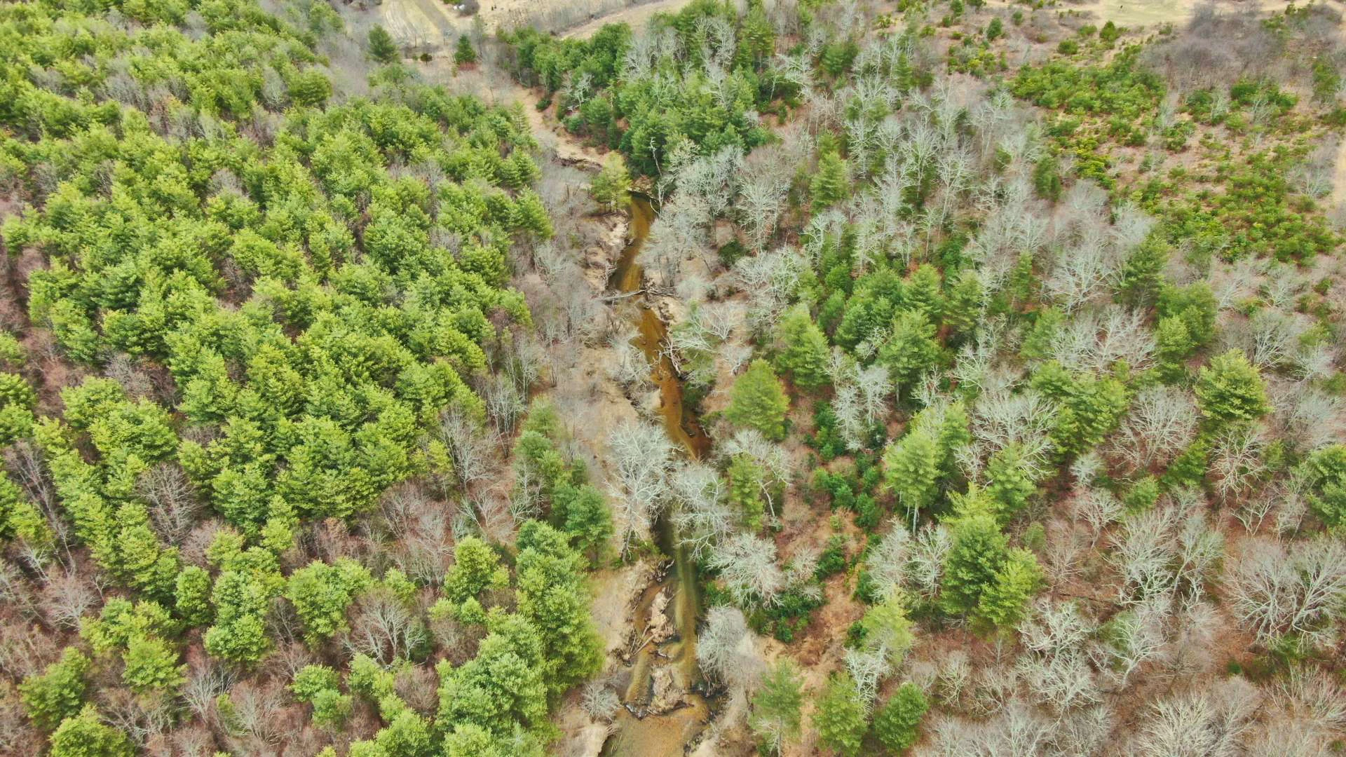 Image number 10 for the current listing