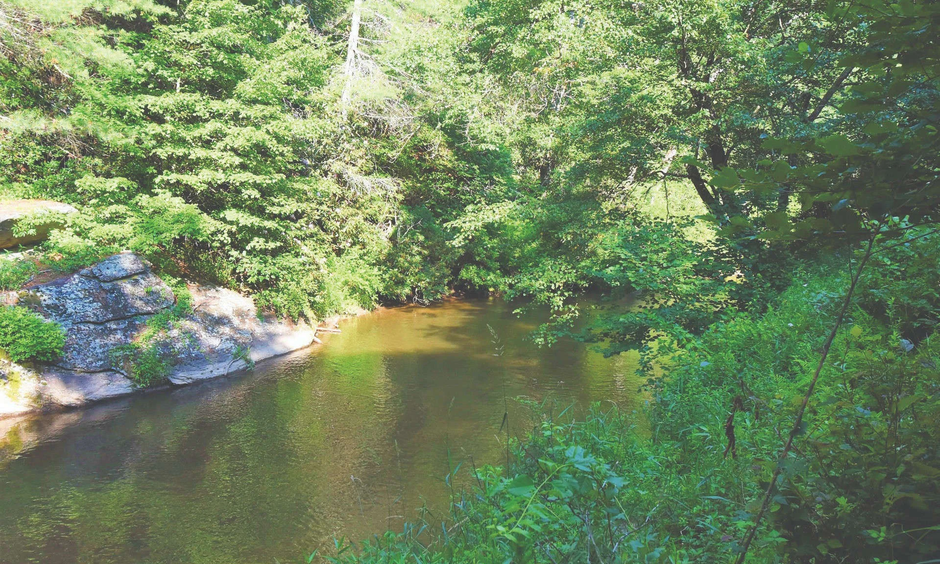 Image number 1 for the current listing