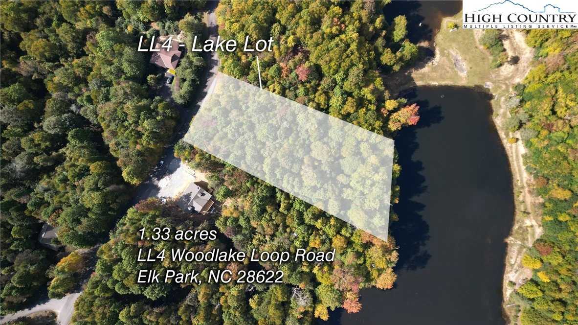 Image number 1 for the current listing