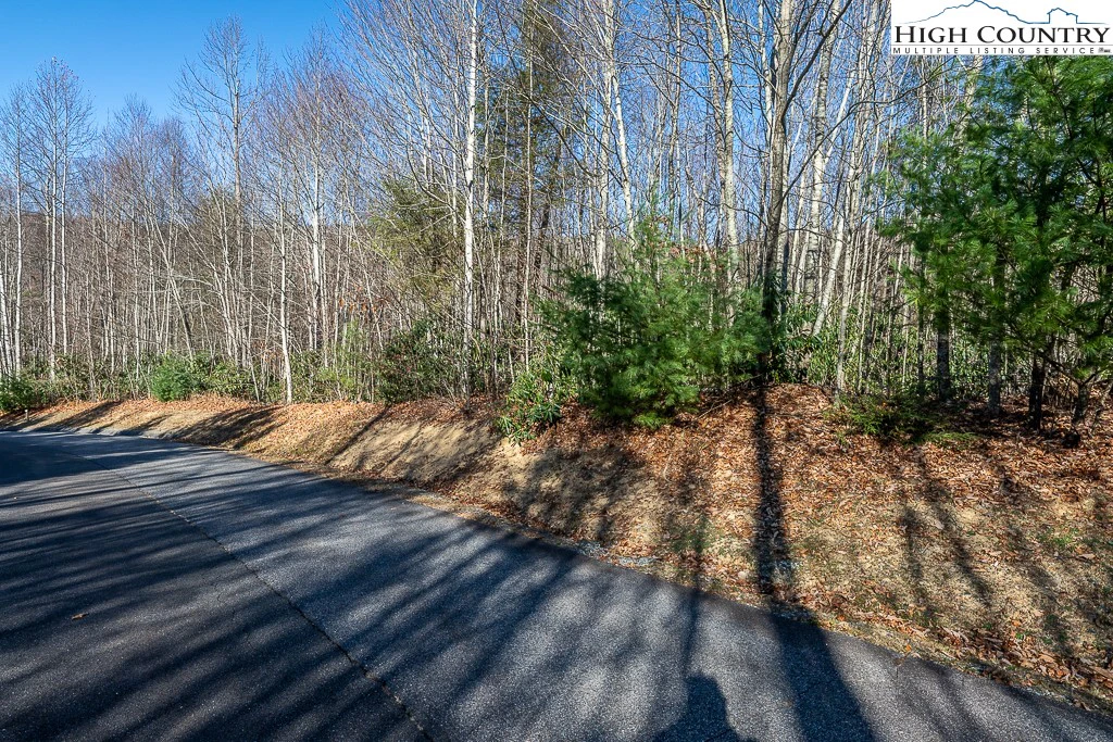 Image number 6 for the current listing